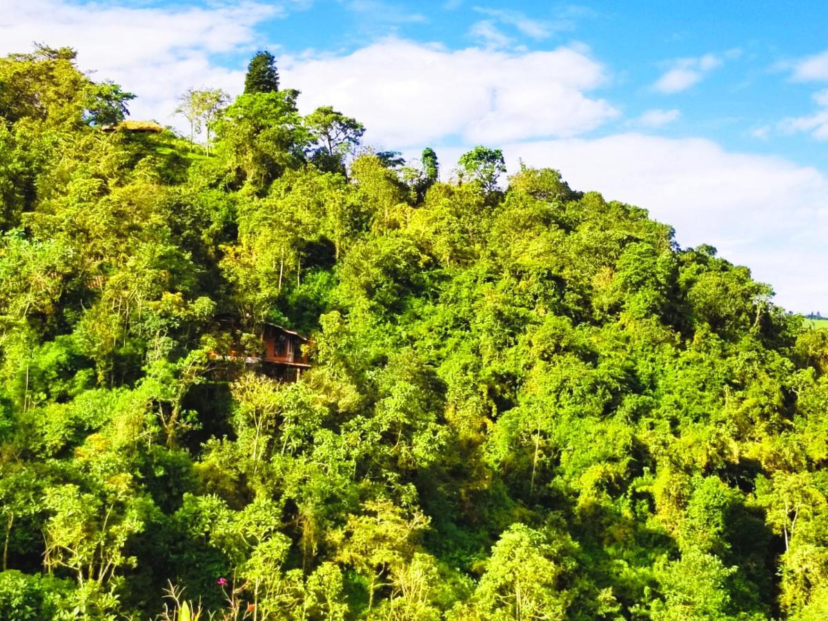 Finca Petrona Calacali Ngoại thất bức ảnh