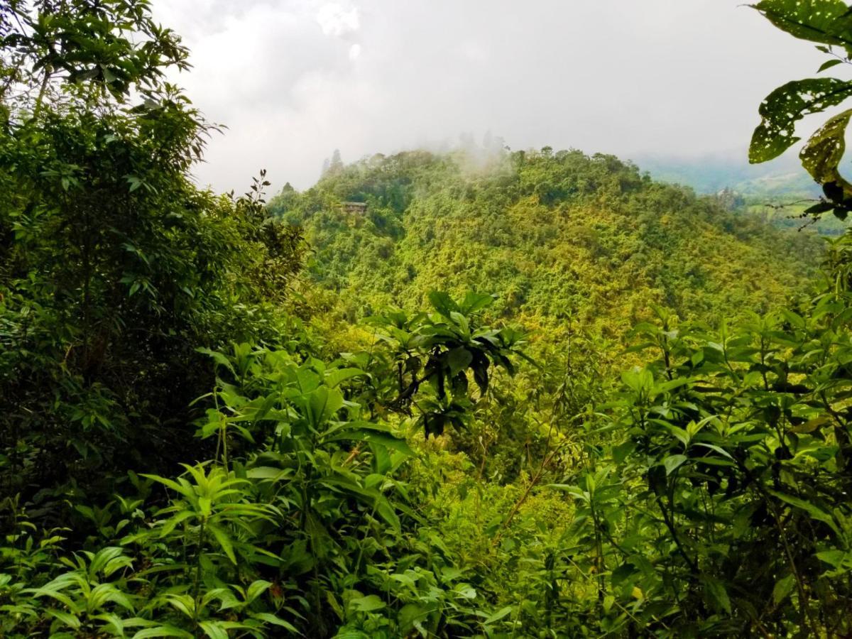 Finca Petrona Calacali Ngoại thất bức ảnh