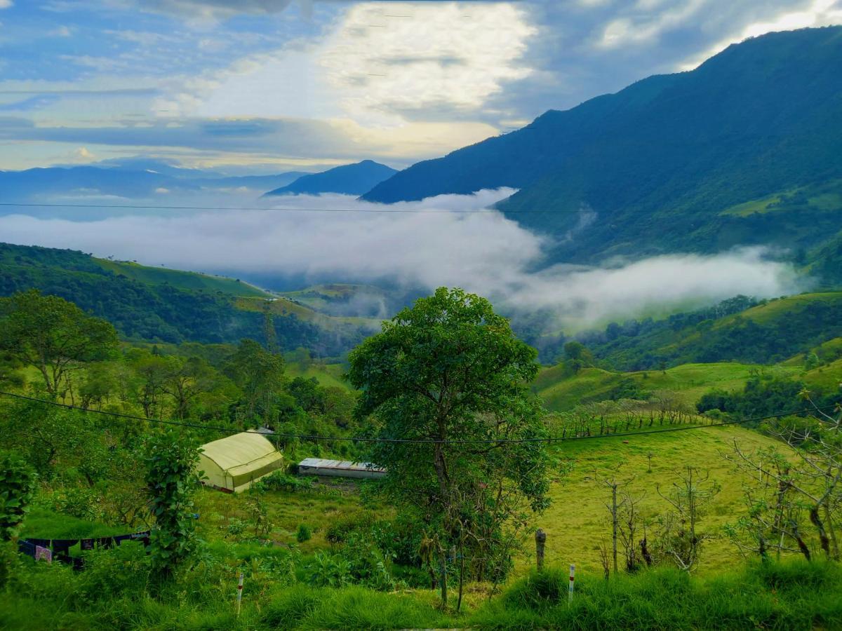 Finca Petrona Calacali Ngoại thất bức ảnh