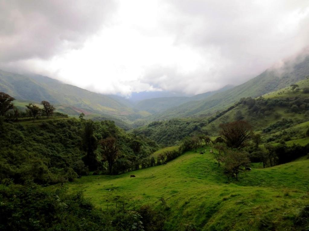 Finca Petrona Calacali Ngoại thất bức ảnh