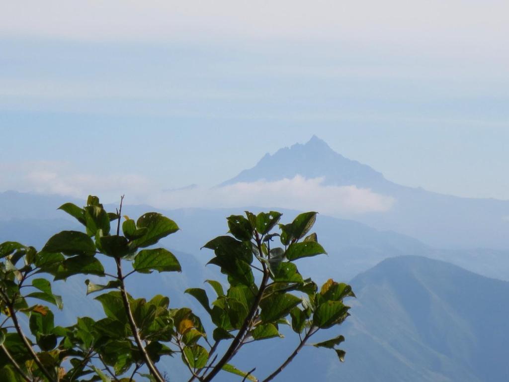 Finca Petrona Calacali Ngoại thất bức ảnh