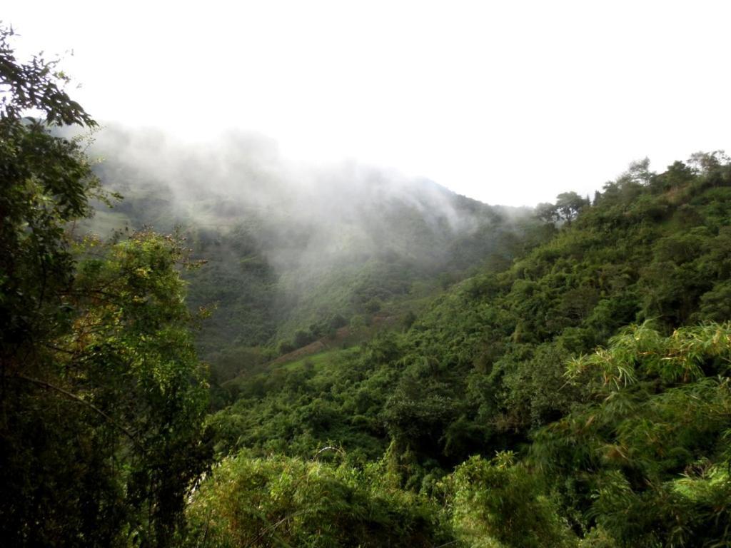 Finca Petrona Calacali Ngoại thất bức ảnh