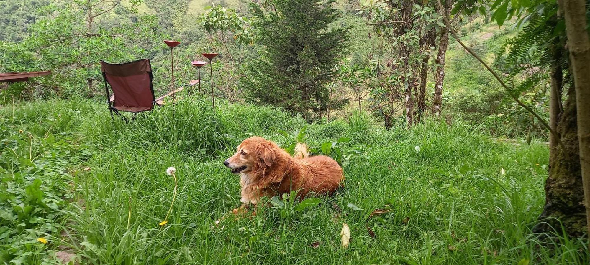 Finca Petrona Calacali Ngoại thất bức ảnh
