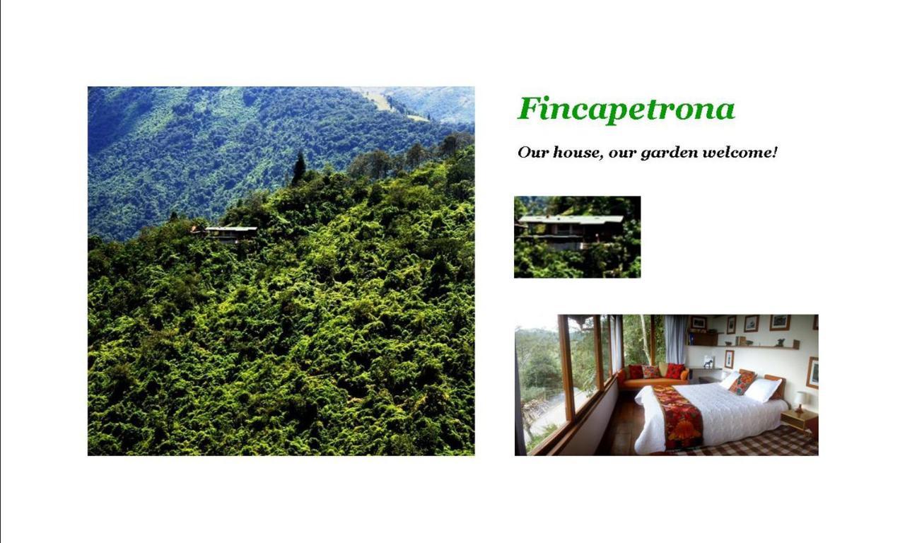 Finca Petrona Calacali Ngoại thất bức ảnh